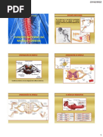 Aula 8. Funções Motoras Da Medula Espinhal