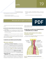 MUSCULOS Cabeza y Cuello (Latarjet)