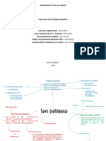 Mapa Mental Sobre Íon Potássio