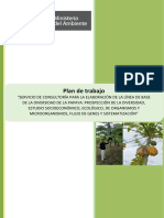 E3 Plan Trabajo EL Papaya RBG