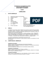 Conversion Silabo A PDF