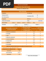 Evaluación Visual Del Suelo Completo