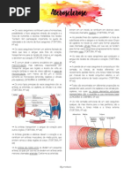 APG 09 - Aterosclerose