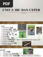 Unit 3 Ibu Dan Ceper