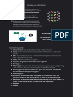 Genetic and Inheritance