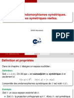 CP2 21 Alg3 Chap3 EndomoSymetrique