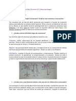 TP 1 Neuroanatomia