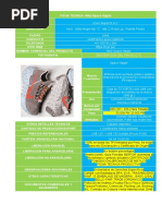 Ficha Tecnica Tara-Unctad