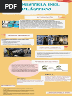 Infografia Industria Del Plastico