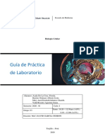 GUIA PRACTICA LABORATORIO Mitocondria y Respiración Celular