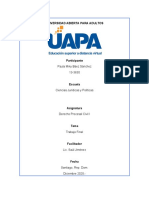 Trabajo Final, Derecho Procesal Civil I, Paula