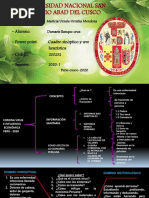 Cuadro Sinoptico y Uve Heuristica