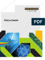 PDV - Fisica Comun