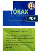 Toráx