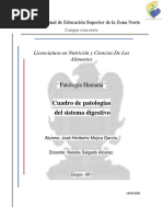 Cuadro de Patologías Del Sistema Digestivo