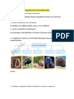 Preguntas de Ciencias Naturales