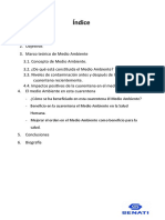 Trabajo Monografía Medio Ambiente