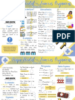 Mapa Mental - Funções Orgânicas (Química) PDF