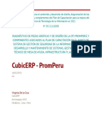 Diagnóstico Servicio - PromPeru