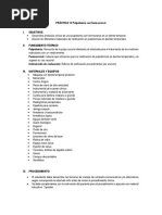 PRÁCTICA 13-14 Pulpotomía-Pulpectomía