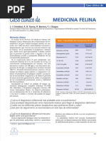 Caso Clínico De: Medicina Felina