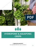 UU 1010 Hydroponic Aquaponic 1