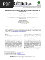 Metodologías Ágiles: Un Análisis de Los Desafíos Organizacionales para Su Implementación