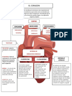 El Corazon