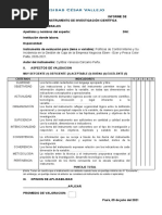 Informe de Valodacion Variable Gestion de Caja