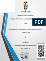 Certificado Curso 20 Horas SG-SST - Juan Martínez