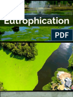 Eutrophication