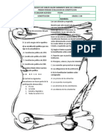 Evaluacion 3 Constitucion