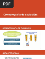 Cromatografia de Exclusión