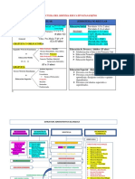 Estructura Del Sistema Educativo Panameño y Administrativa Del Meduca