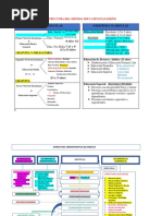 Estructura Del Sistema Educativo Panameño y Administrativa Del Meduca