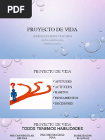 Proyecto de Vida