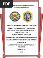 Trabajo Encargado Peritaje Contable