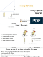 Sexo Fitogenetica Final