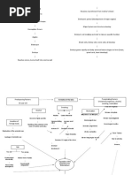 ABORTION Pathophysiology