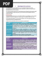 TRANSCRIPCIONES DE LA DOCTORA CACERES 2020 Completo