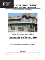 Manual Avanzado de Excel 2010