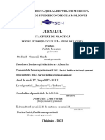 Jurnal Practica SP SHT Final