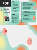 EXPOSICION DERRAME CEREBRAL Dharla Anaya