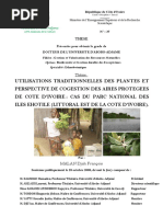 Utilisations Traditionnelles Des Plantes