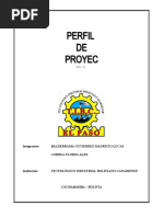 Perfil de Proyecto CC