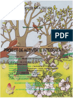 Proiect de Activitate Integrata Final