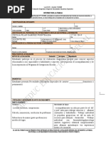 Modelo Informe Familia