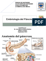 Embriologia Del Pancreas-1