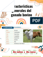 Características Generales Del Ganado Bovino