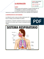 Cta Trabajo